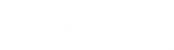 Solidy Consulting